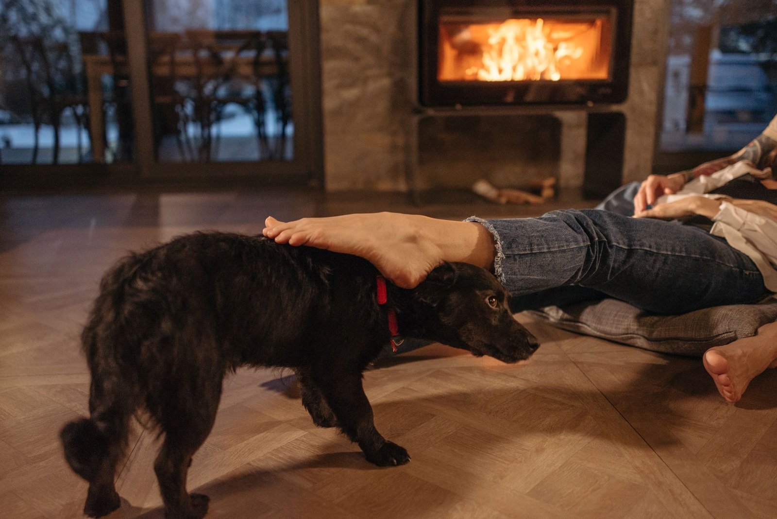 A black dog being petted in a warm living room by the fireplace.